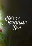 دانلود فیلم Wide Sargasso Sea 1993