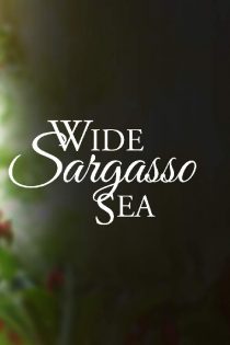 دانلود فیلم Wide Sargasso Sea 1993
