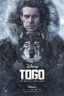 دانلود فیلم Togo 2019 (توگو)