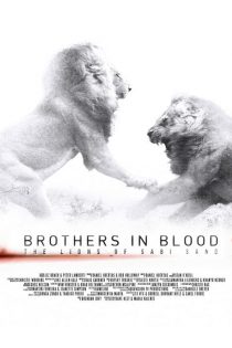 دانلود مستند Brothers in Blood: The Lions of Sabi Sand 2015