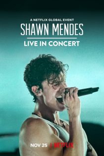 دانلود فیلم Shawn Mendes: Live in Concert 2020
