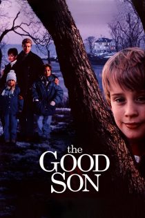 دانلود فیلم The Good Son 1993 (پسر خوب)