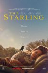 دانلود فیلم The Starling 2021 (سار)